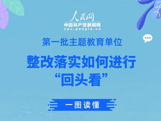 第一批主题教育单位整改落实如何进行“回头看”